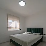 Vila Turnea With Heated Pool